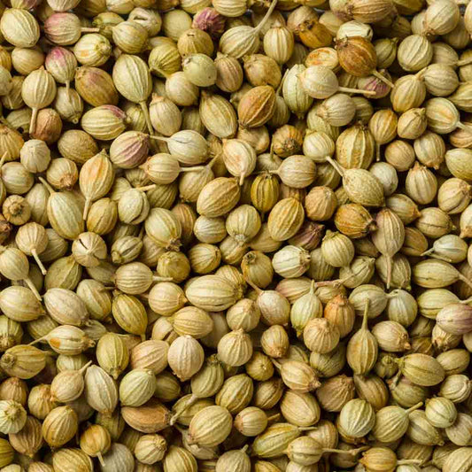 Coriander Seeds (Dhaniya) 200g