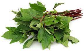 Gongura / Sorrel Leaves/Pulicha Keerai - Bunch