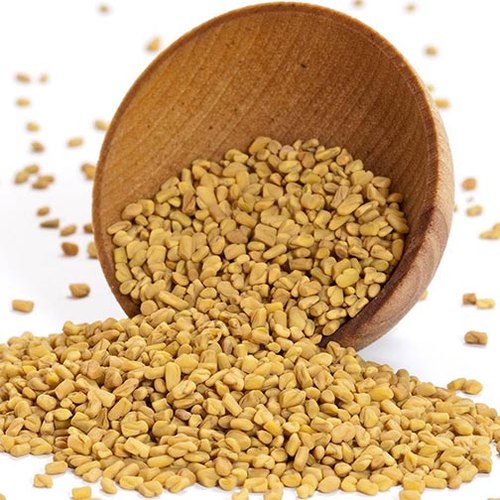 Fenugreek Seeds or Methi seeds