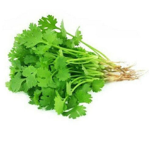 Coriander Leaves Bunch