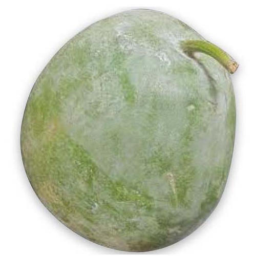 Ash Gourd (1kg)