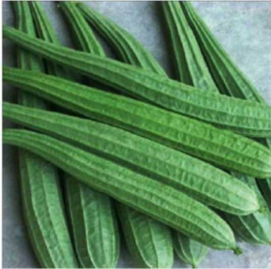 Ridge Gourd/BeeraKaya 500g