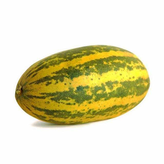 Cucumber Yellow Stripes ( 300g to 500g )